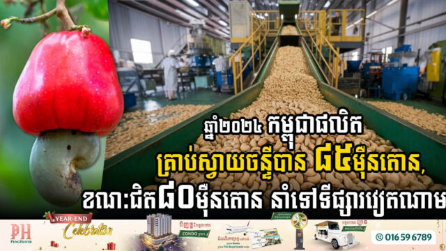 ឆ្នាំ២០២៤ កម្ពុជាផលិតគ្រាប់ស្វាយចន្ទីបាន ៨៥ម៉ឺនតោន, ក្នុងនោះនាំចេញទៅទីផ្សារវៀតណាមជិត៨០ម៉ឺនតោន
