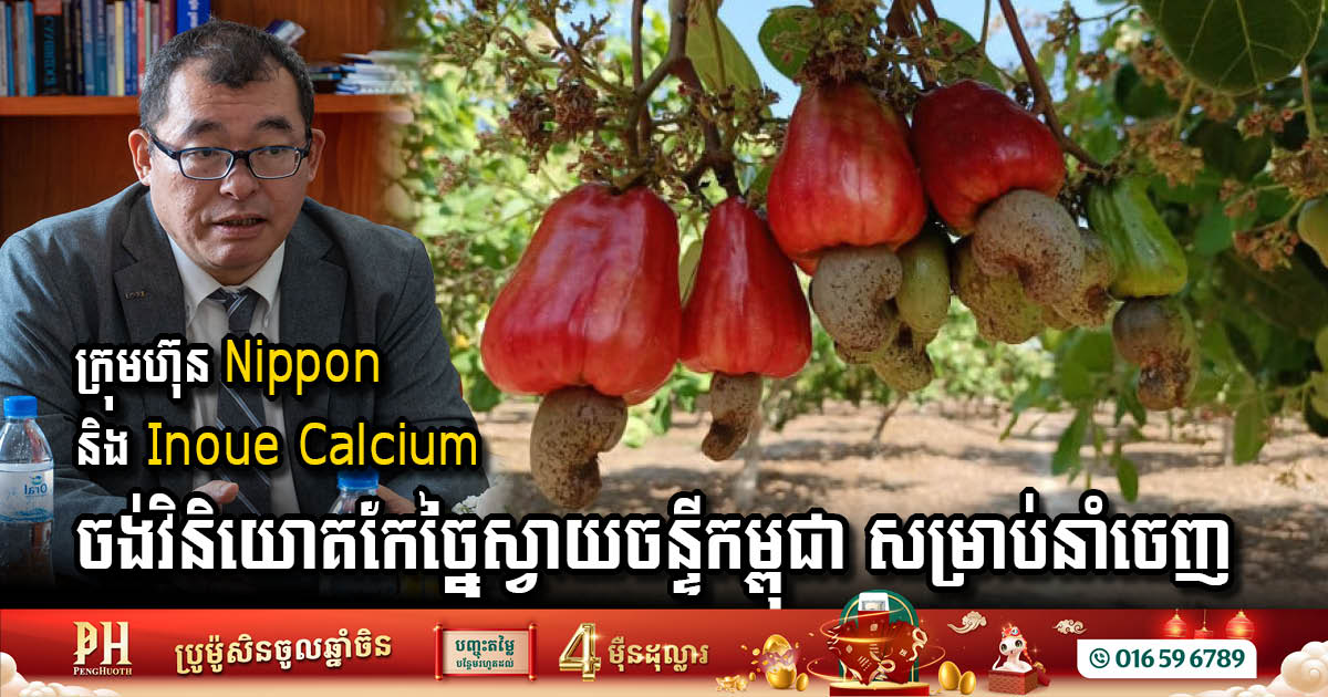 ក្រុមហ៊ុន Nippon និង Inoue Calcium ចង់វិនិយោគកែច្នៃស្វាយចន្ទីកម្ពុជា សម្រាប់នាំចេញ