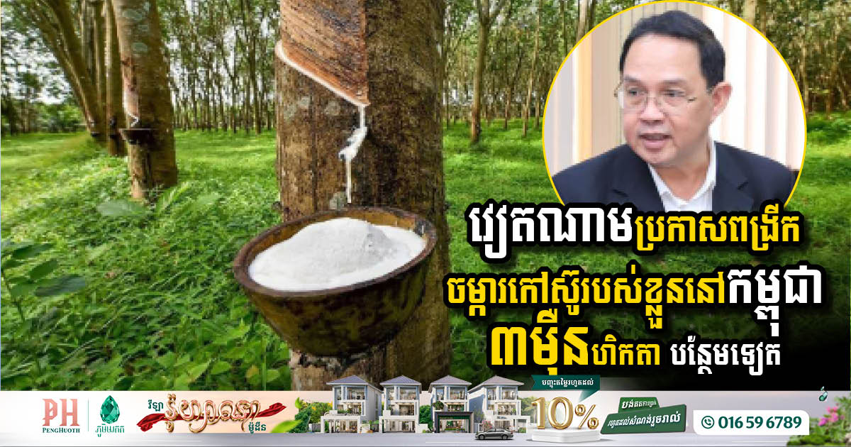 ក្រុមហ៊ុនវៀតណាមប្រកាសពង្រីកការវិនិយោគដាំដំណាំកៅស៊ូនៅកម្ពុជា ៣ម៉ឺនហិកតា បន្ថែមទៀត