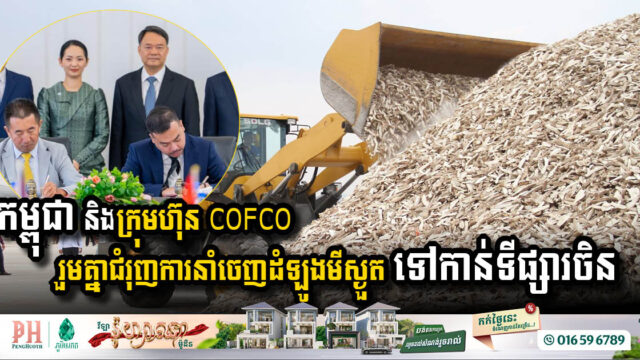 Cambodia and COFCO Forge New Trade Partnership for Dried Cassava Exports to China