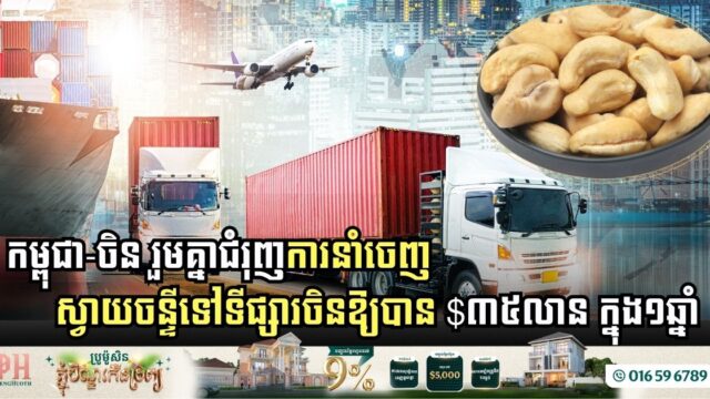 Cambodia and China Join Forces to Boost Cashew Exports Worth USD 35 Million Annually to the Chinese market