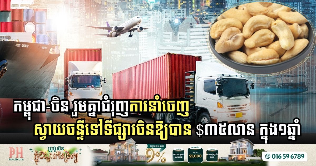 Cambodia and China Join Forces to Boost Cashew Exports Worth USD 35 Million Annually to the Chinese market