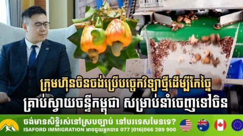 ក្រុមហ៊ុនចិនចង់ប្រើបច្ចេកវិទ្យាថ្មីដើម្បីកែច្នៃគ្រាប់ស្វាយចន្ទីកម្ពុជា សម្រាប់នាំចេញទៅទីផ្សារចិន