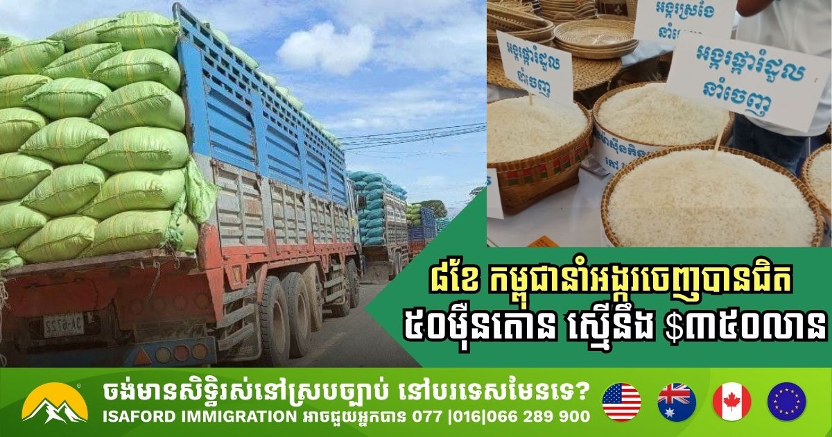 ៨ខែ កម្ពុជារកចំណូលបានជិត ៣៥០លានដុល្លារ ពីការនាំចេញអង្ករជិត ៥០ម៉ឺនតោន