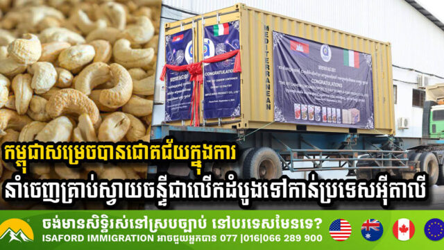 Cambodia Achieves Milestone with First Cashew Nut Exports to Italy
