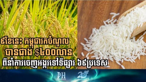 Cambodia’s Rice Exports Surge in 2025, Surpassing USD 400 Million