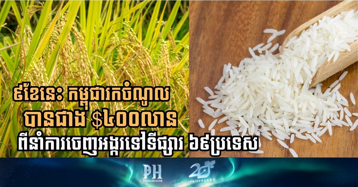Cambodia’s Rice Exports Surge in 2025, Surpassing USD 400 Million