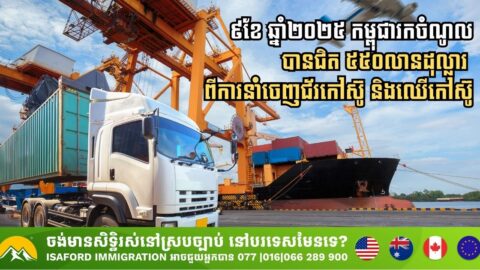 Cambodia Earns Nearly USD 550 Million from Rubber and Rubberwood Exports in First Nine Months of 2025