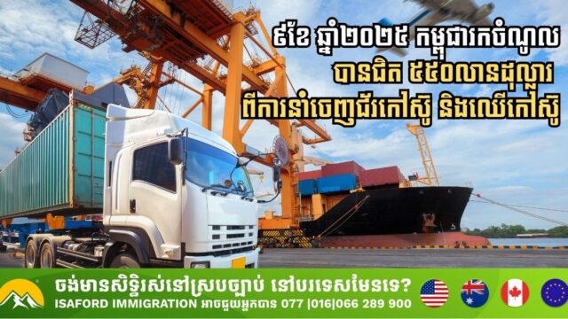 Cambodia Earns Nearly USD 550 Million from Rubber and Rubberwood Exports in First Nine Months of 2025