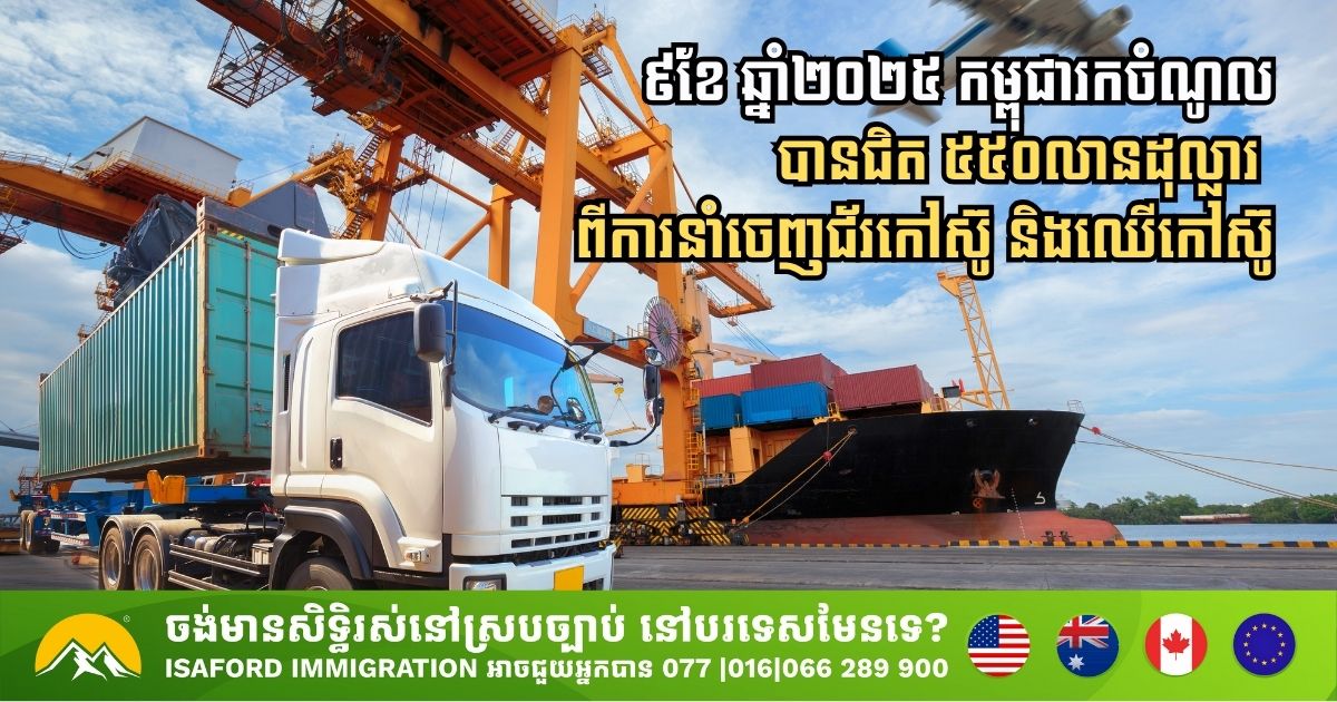 ៩ខែ ឆ្នាំ២០២៥ កម្ពុជា រកចំណូលបានជិត ៥៥០លានដុល្លារ ពីការនាំចេញជ័រកៅស៊ូ និងឈើកៅស៊ូ