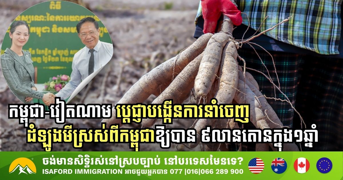 Cambodia and Vietnam Strengthen Ties with Major Cassava Export Agreement