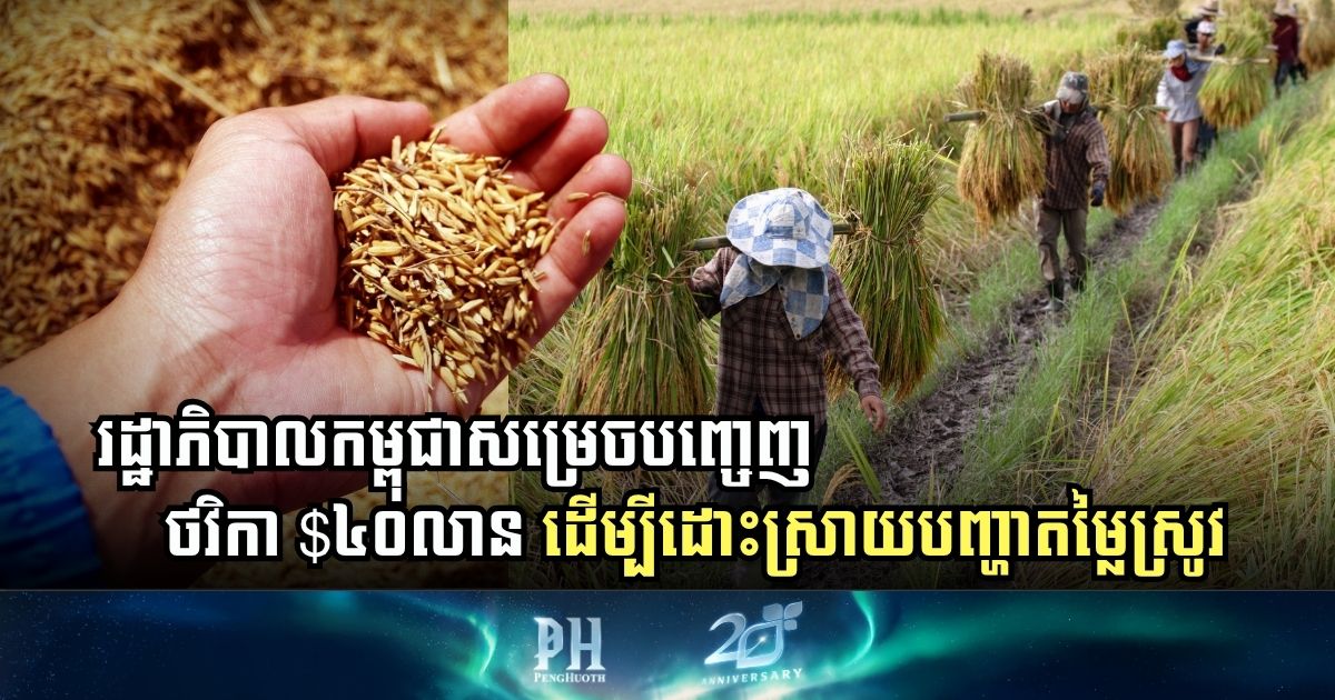 Cambodian Government Invests USD40 Million to Stabilize Rice Prices During Harvest Season