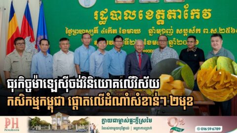 Malaysian Business Leaders Set Sights on Takeo’s Fruit Sector