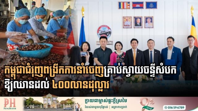 កម្ពុជាមានផែនការពង្រីកការនាំចេញគ្រាប់ស្វាយចន្ទីសំបកឱ្យឈានដល់ ៤០០លានដុល្លារ