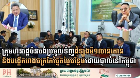 Leading Chinese State Enterprise Eyes Investment in Cambodia’s Cassava Processing Sector