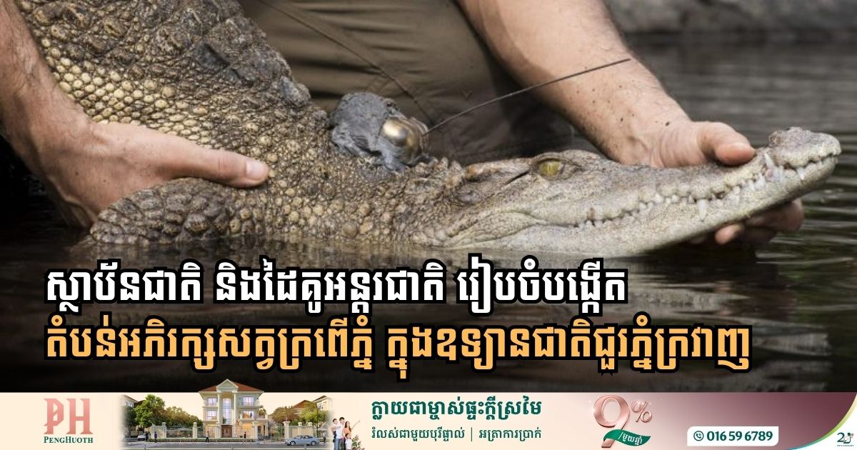 ស្ថាប័នជាតិ និងអន្តរជាតិ រៀបចំបង្កើតតំបន់អភិរក្សសត្វក្រពើភ្នំ ក្នុងឧទ្យានជាតិជួរភ្នំក្រវាញ ខេត្តកោះកុង