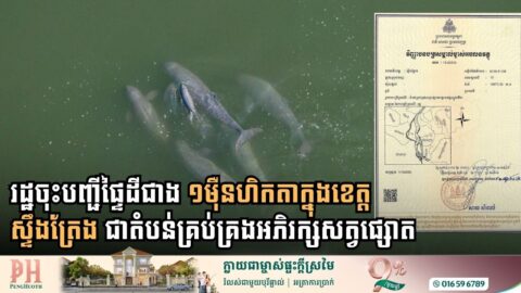 រដ្ឋចុះបញ្ជីផ្ទៃដីជាង ១ម៉ឺនហិកតាក្នុងខេត្តស្ទឹងត្រែង ជាតំបន់គ្រប់គ្រងអភិរក្សសត្វផ្សោតទន្លេមេគង្គ