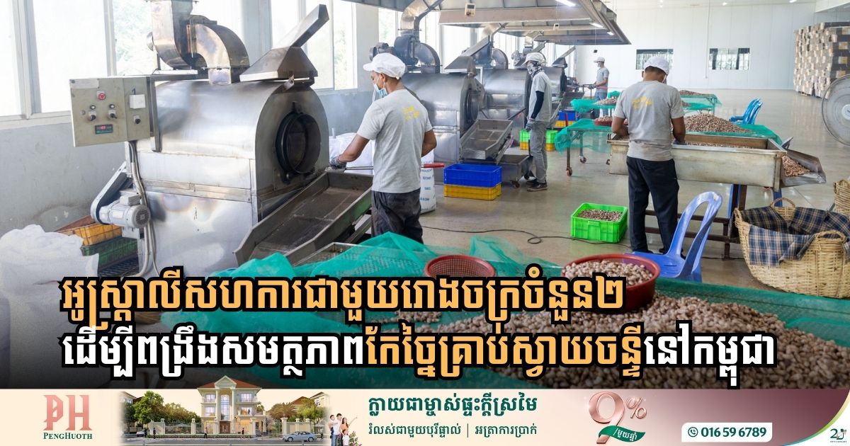 អូស្ត្រាលីសហការជាមួយរោងចក្រចំនួន២ ដើម្បីជួយពង្រឹងសមត្ថភាពកែច្នៃគ្រាប់ស្វាយចន្ទីនៅកម្ពុជា