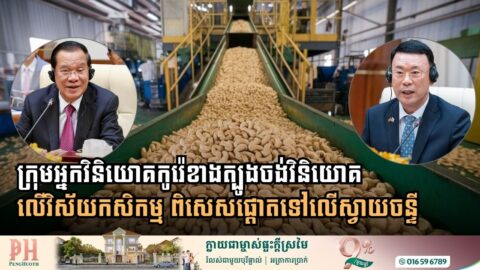 ក្រុមអ្នកវិនិយោគកូរ៉េខាងត្បូងចង់វិនិយោគលើវិស័យកសិកម្ម ពិសេសផ្តោតទៅលើស្វាយចន្ទី
