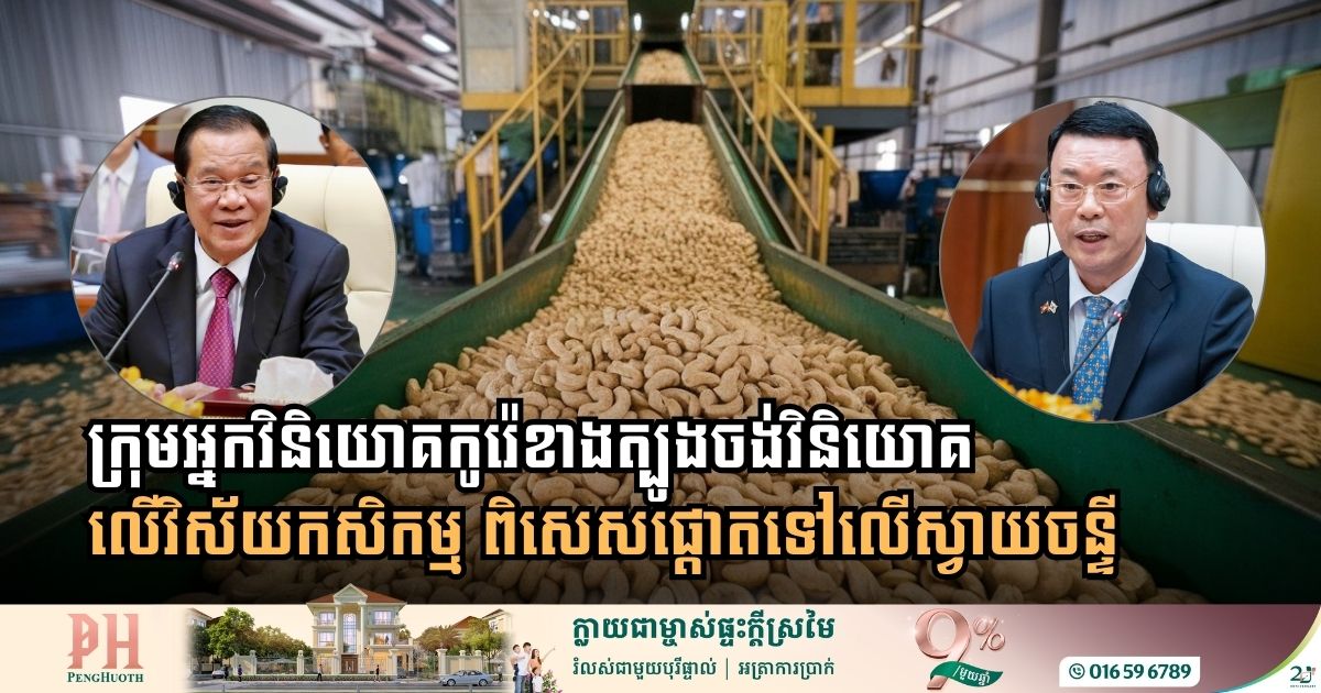 South Korean Investors Set Sights on Cambodia’s Booming Cashew Sector