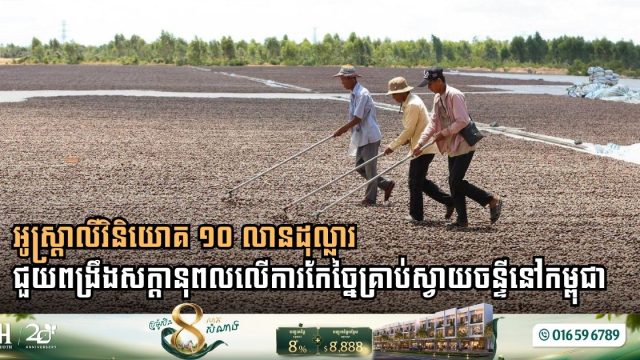 Australia Drives $10 Million Investment to Catalyze Cambodia’s Cashew Processing Potential