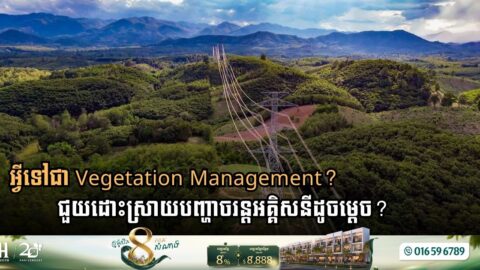 How Bentley Systems Software Transforms Utility Vegetation Management